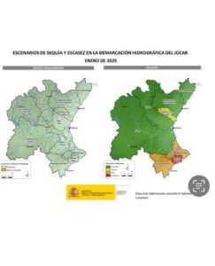 ESCENARIOS DE SEQUÍA Y ESCASEZ EN LA DEMARCACIÓN HIDROGRÁFICA DEL JÚCAR. ENERO 2025